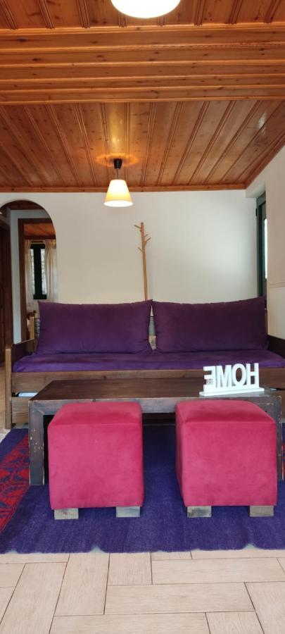Kristis'S Homes - "Beautiful Home" In Dimitsana Exterior photo